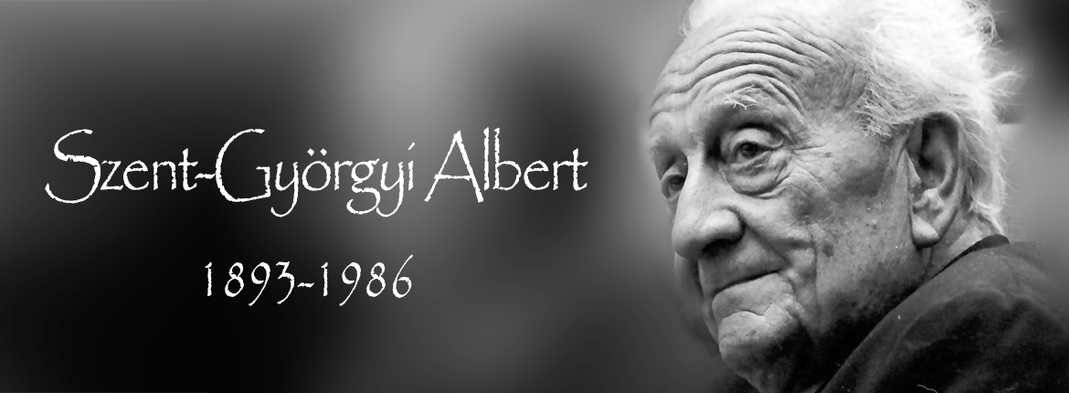 Szent-Gyorgyi_Albert_1893-1986